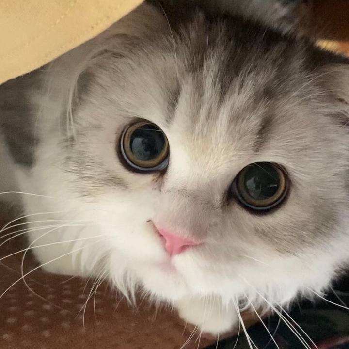 077e5fb3 5933 4f91 8f57 25e3d1b545a3 1600064429716