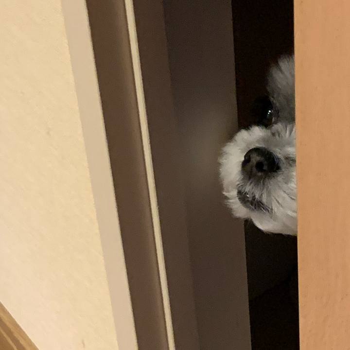 077e7aef 2369 4be9 897e d4fe254a83be 1578874058643