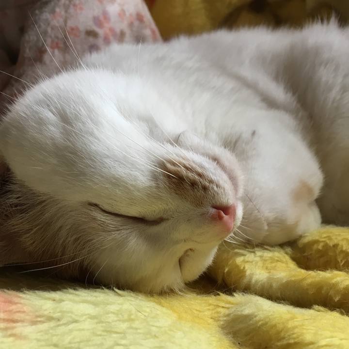 077e93d3 751e 4137 ac41 9db023a795f2 1523143938072