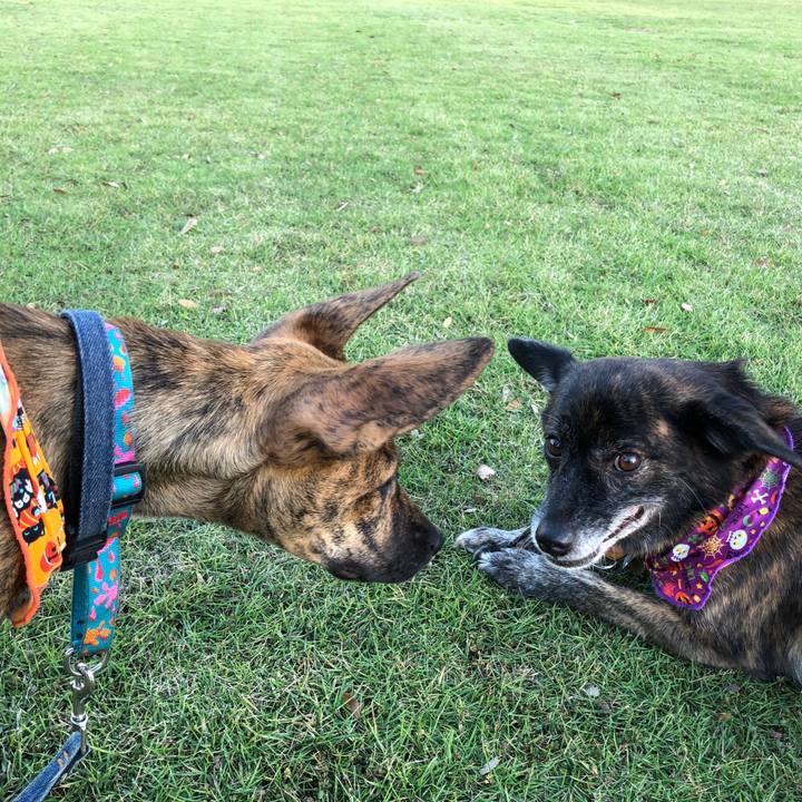 077e9754 3d6c 4025 97e9 2c6facb03f65 1572514506417