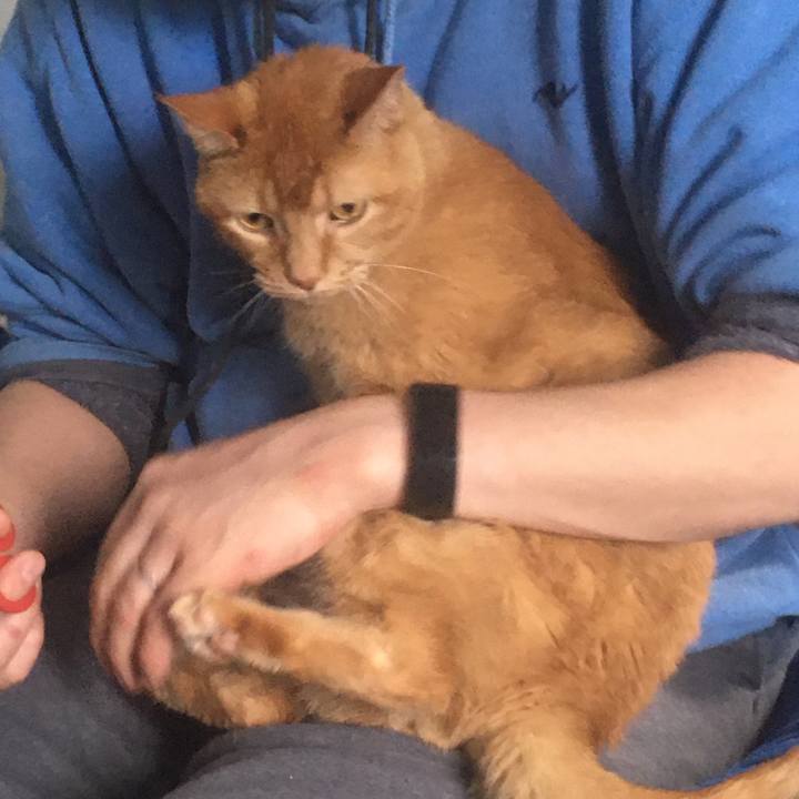 077eb366 374d 4f4c 9be9 7663f2886dbe 1633480819382