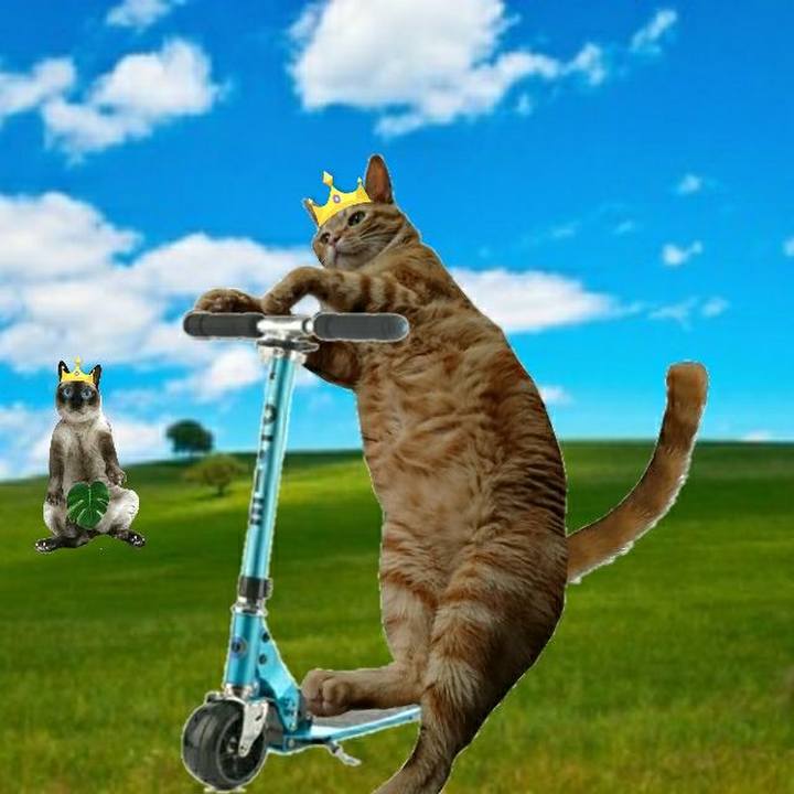 077f1a55 a36c 4518 8617 2ff886e24ddf 1540021526547