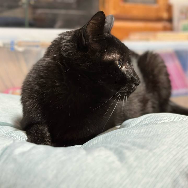 077f2461 aaac 4cb0 906c a03cfd657c20 1684283420857