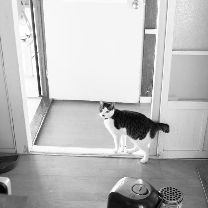 077f3614 6d34 4c56 8bdf 564f1cb95e1c 1548865555588