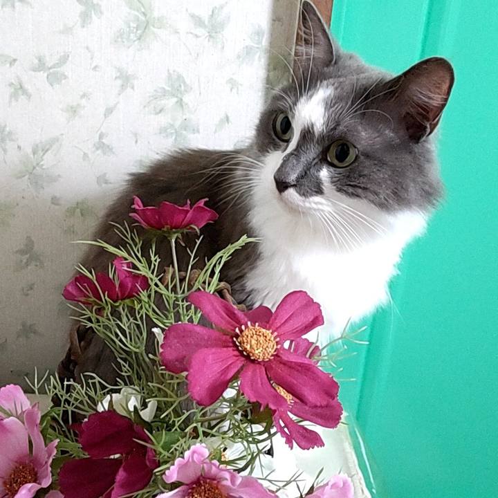 077f4439 df72 4189 a49a 511560b50541 1696143856037