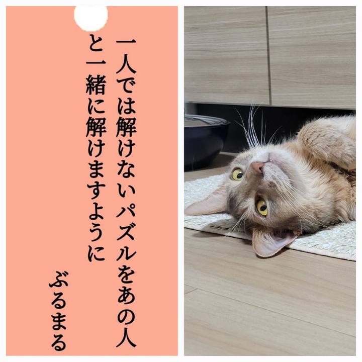 077f6437 df9e 4e8a 8932 9aa3184de752 1657157425775