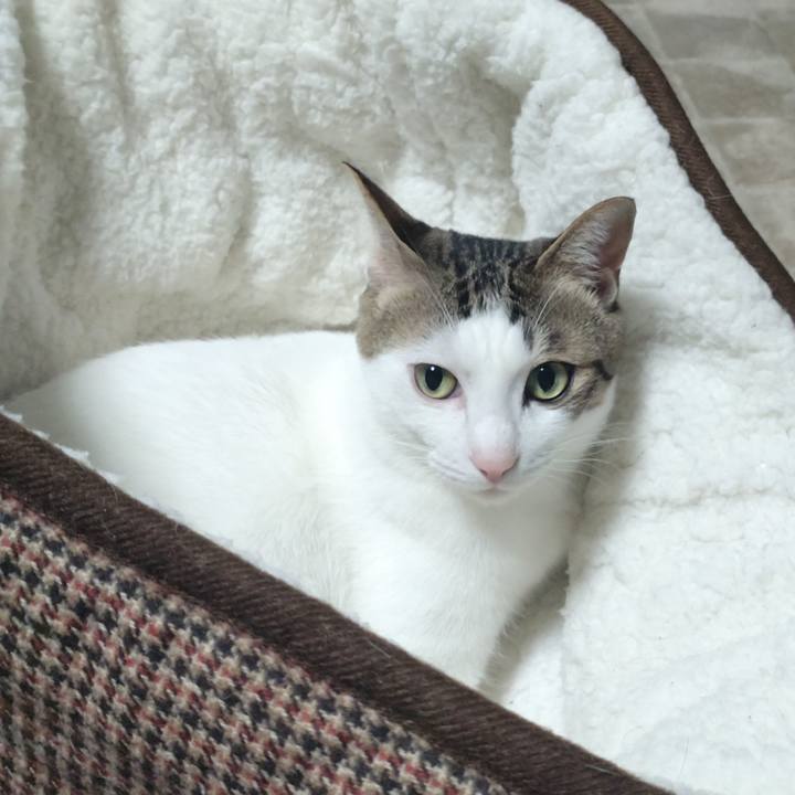 077f6f5f 026c 4a09 afe8 bcf4c2a37560 1704370761353