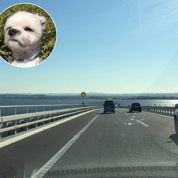 077f71f1 3e2c 42e1 9037 eb9f764541e8 1515583901808