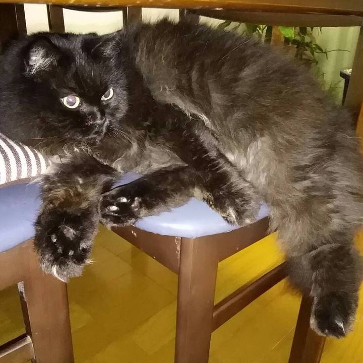 077f8e51 4372 4db8 b326 e39853731cec 1513647097175