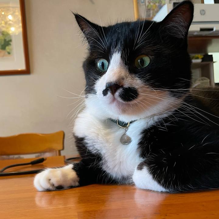 077f96ed b731 4766 bdd2 fe3bb94f71c9 1725412399204