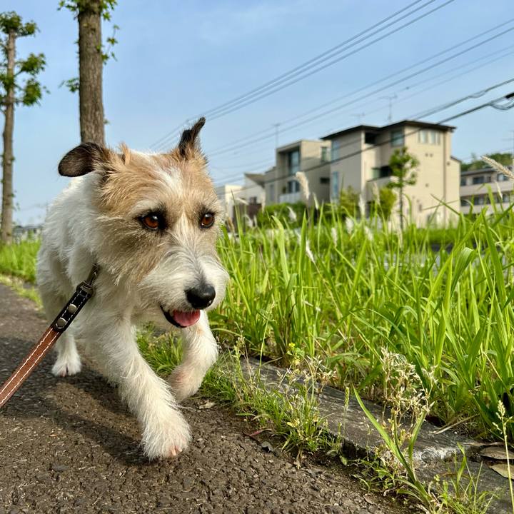 077ff634 6055 4082 8f1f 0722e18b8815 1747858928362