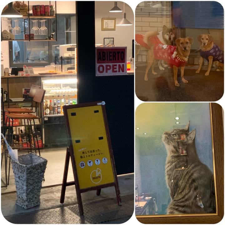 077ffc35 e8cb 49a7 ac4b 182e3b882a6c 1575365419825