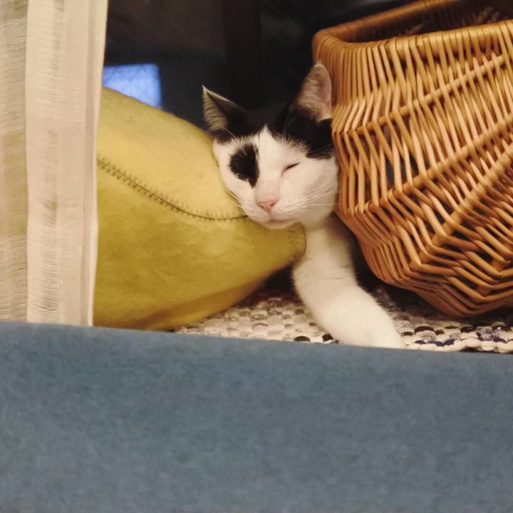 07803960 d6f5 466f 9140 a9f9172663d8 1567002379357