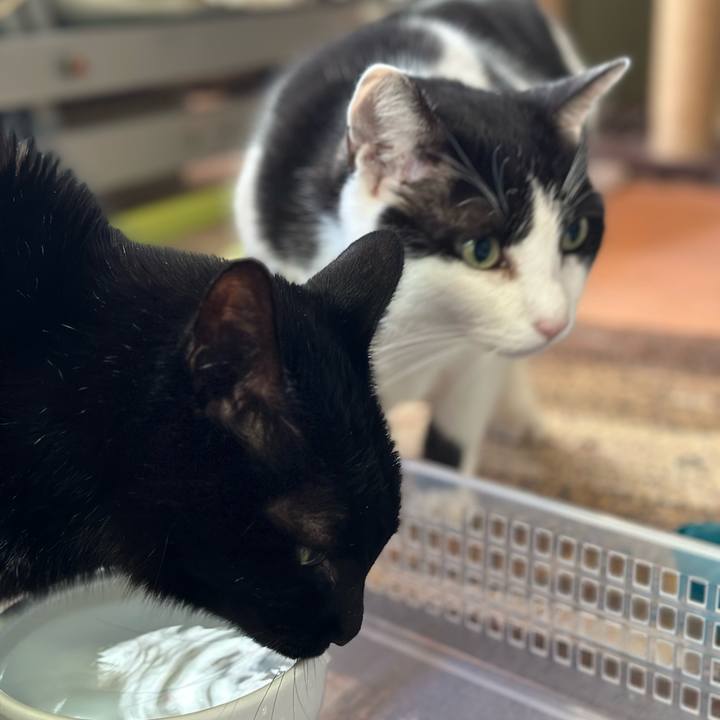 078044b1 6d2a 47b2 89b5 86796ee6dda3 1704679437404