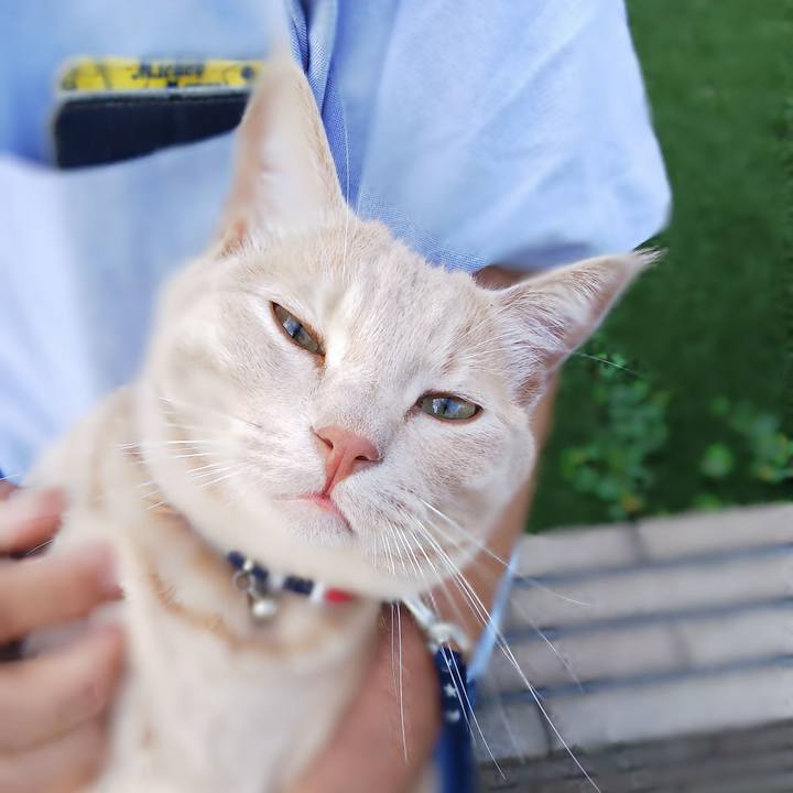 0780a157 2593 44c6 a101 066113d3a79d 1566723186090