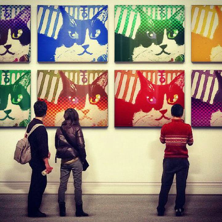 0780a8e6 14d6 42e3 94a4 d7f28f94a960 1524046088536