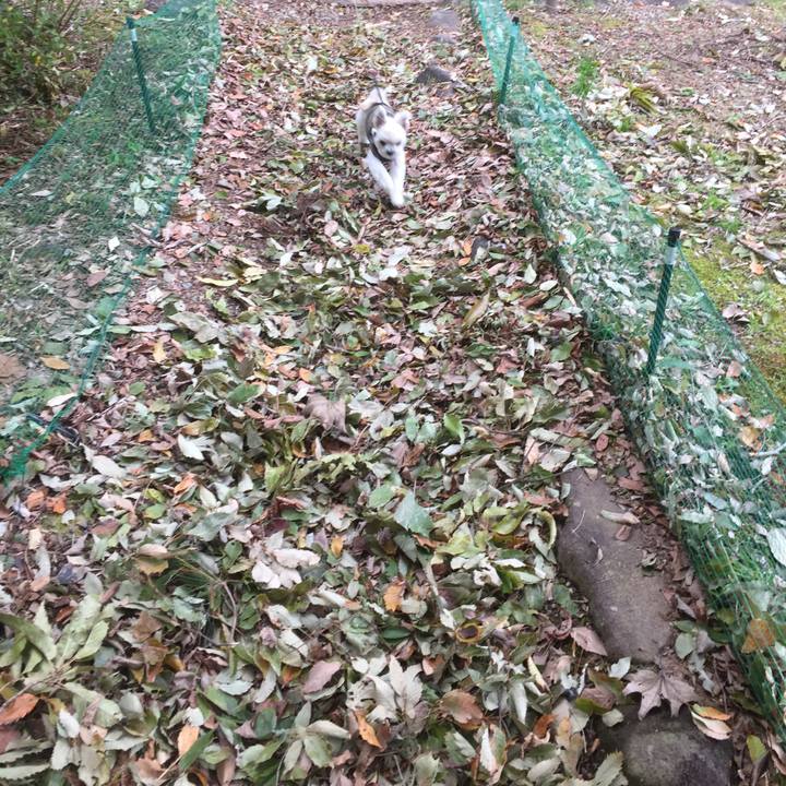 0780d3be f9c2 46bc 942e c087127100d8 1509191736870