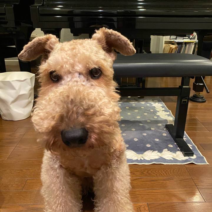 0780d866 43d9 4d37 8f7e 755e5452e329 1634126607440