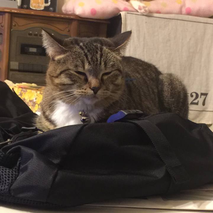 0780fcb8 d96b 4db0 947d e464bde14390 1552577216091