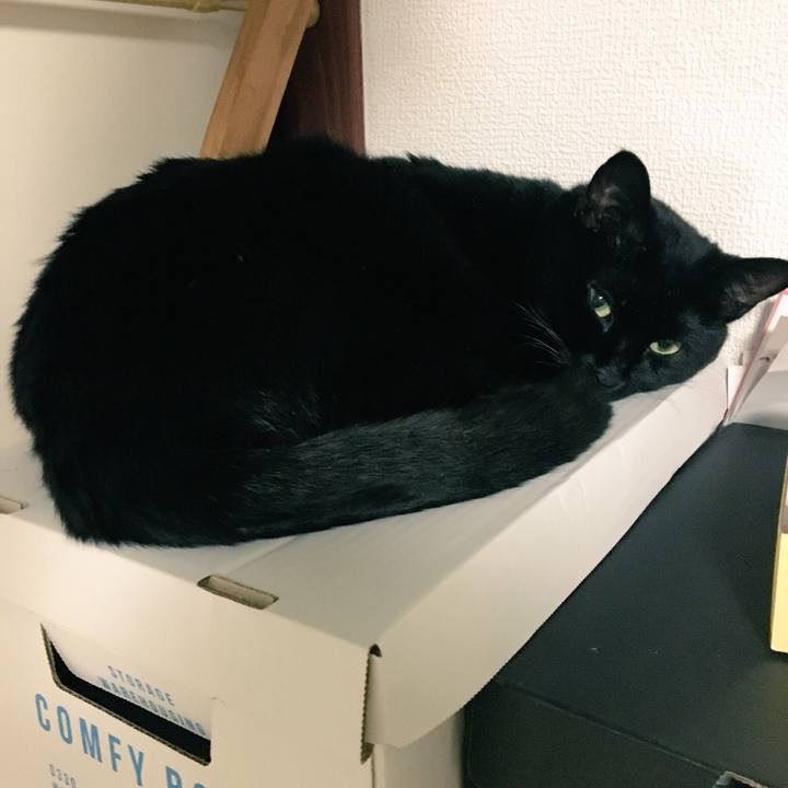 07815920 8660 420a 803b dc898411b49c 1524364738819