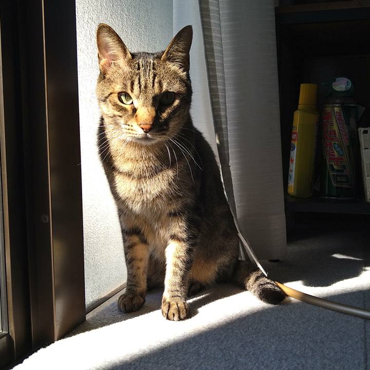 078172b5 17ad 452c bce5 c56aed753b7b 1667361297612