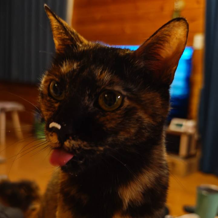 0781c788 05d2 4991 a613 ec144e8aff10 1765366027081