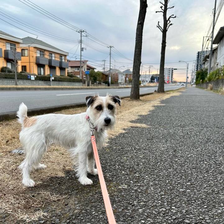 0781cc2c b005 46e1 a741 8b8630b87cf0 1710812374730