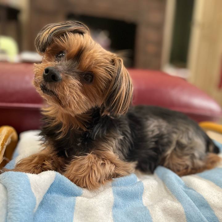 0781eac2 e7a4 4863 aab9 fb322089b802 1642219671838