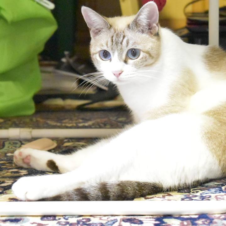 0781f19a b735 4f69 a199 4602ac633df4 1537006198618