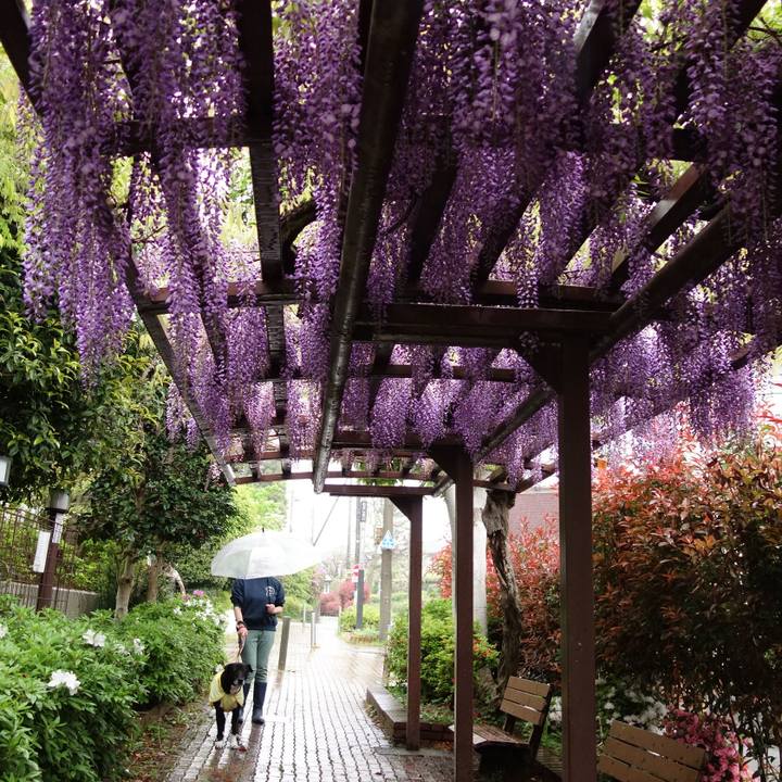 0781ff27 add5 45af 820f 06f078e2a718 1745365896779