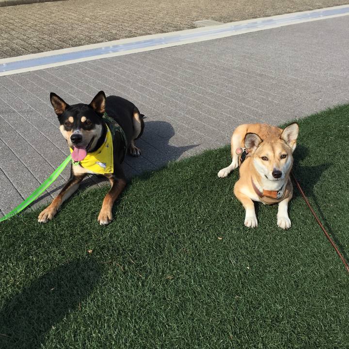 0781ff64 aab9 488d 9b1f b23f11a030ba 1541855564707