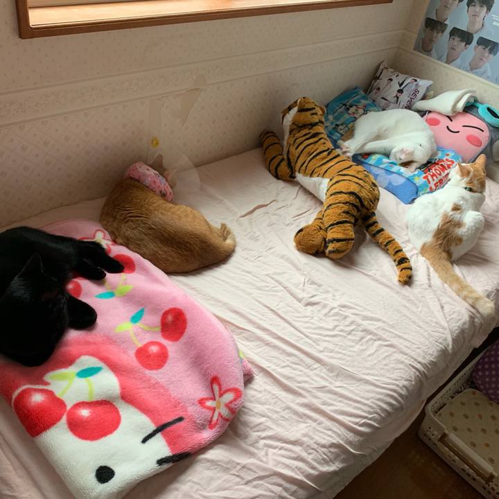 0782a1b1 9bc3 47c9 b481 59bb7fe44120 1569223398125