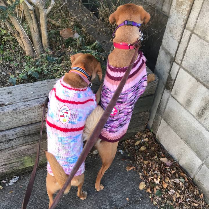 0782cada 06d9 4cd5 825c afa04fd9006a 1515725333553