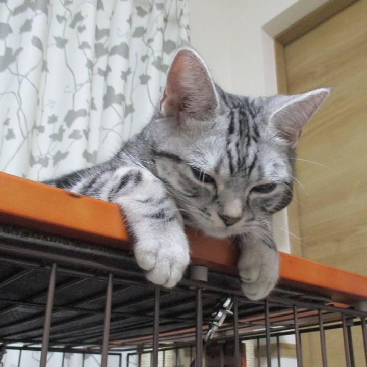 0782dbac 7d64 4c3a b302 f04ff6cd7267 1546772887489