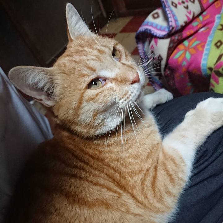 0782f560 f97f 42ab b3b6 def78aa5ef0b 1584957597168