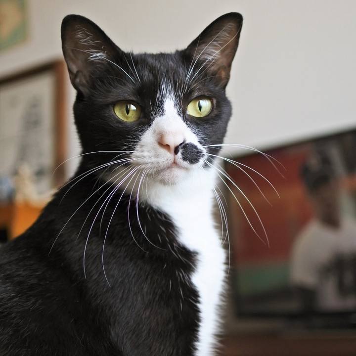 07830506 d692 4d8a 997f 71b15eff9754 1756302621495