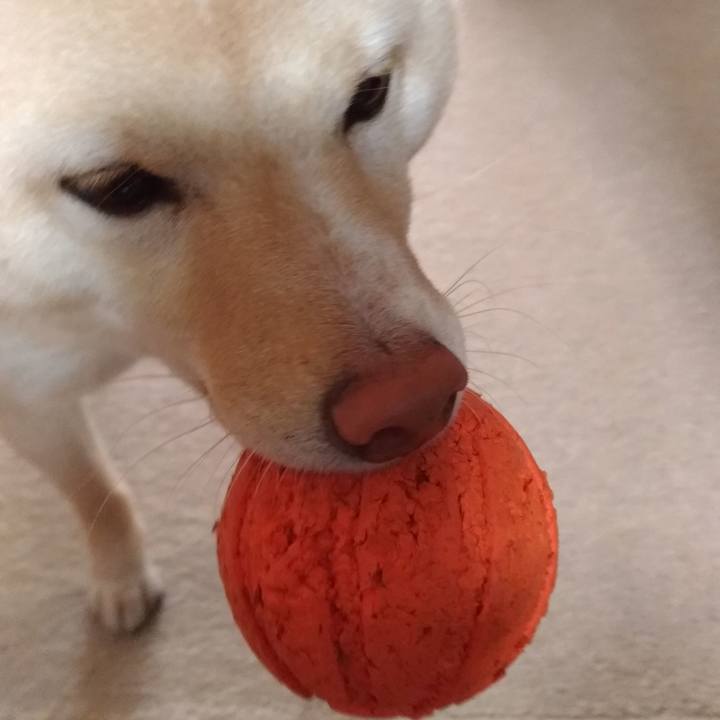 07830809 bdcd 4e36 a53a 98754e6eb0ea 1554502354376