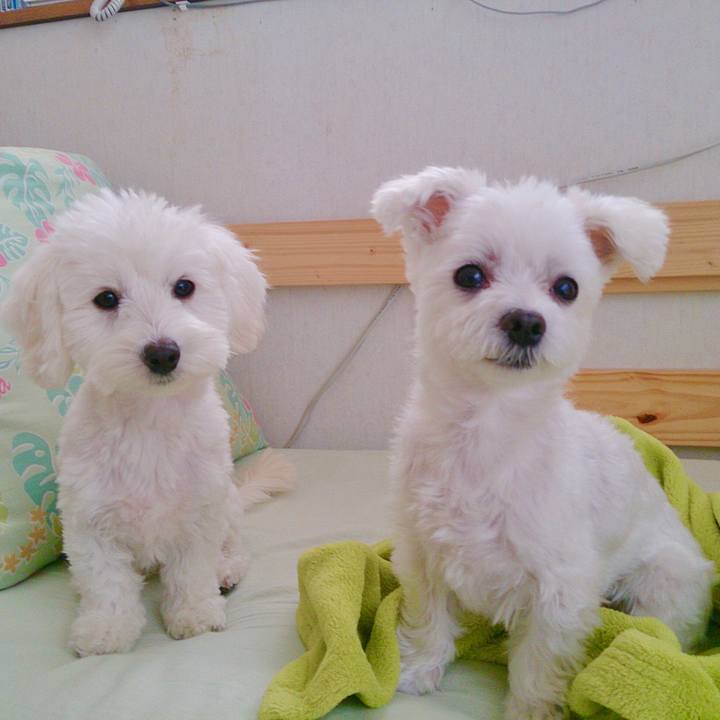 07832d83 bb19 4112 a442 829c6c513116 1543791611149