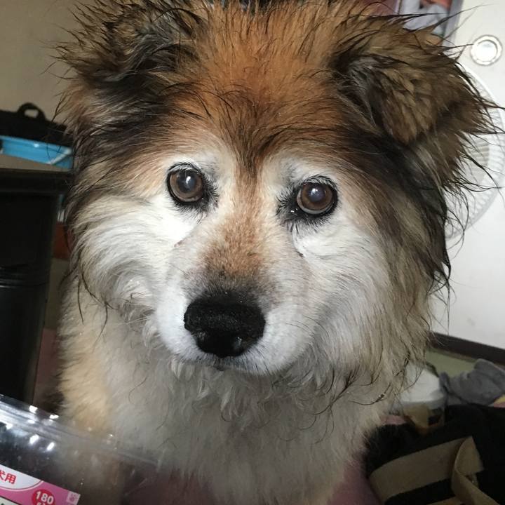 07835e04 c88d 40bf 8b21 0490999fb47f 1601298595248