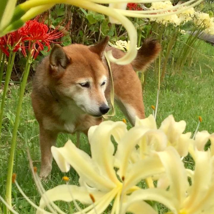 07836267 d348 4586 bd96 120d0f66f045 1631588881534