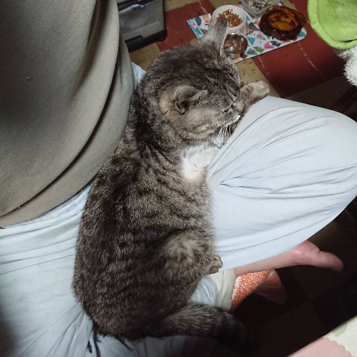 0783b585 47e2 4251 a066 0b8c76329be7 1589748652869