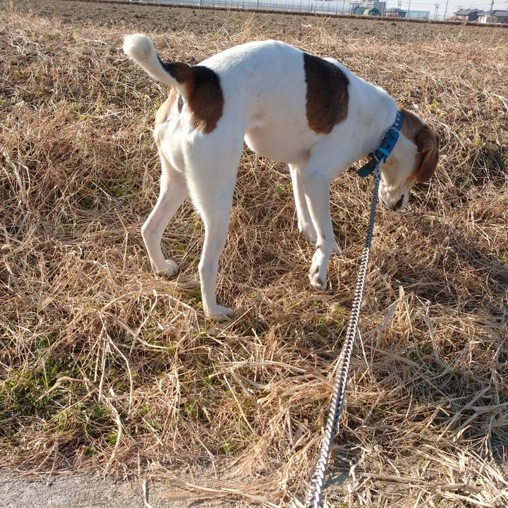 0783b9f7 28a8 456e 8192 aad47261af10 1611207247614