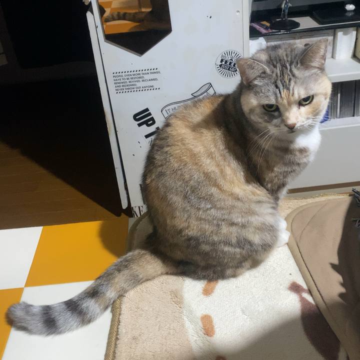 0783daa0 d878 46f3 b45d dfb9b79a8446 1732536161018