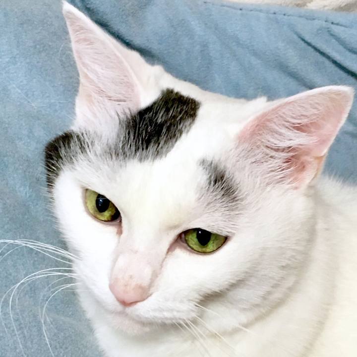 0783f584 26f4 4ecd ae5b e1cff2a416a5 1566270347578