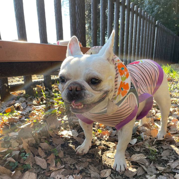 0783fa77 97c2 433e a51d ff0fc2b82b0d 1737509460551