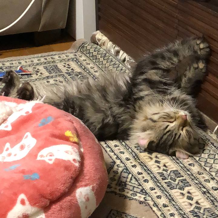 07841ff8 d3cc 4ada b4aa 6c37e77a4ab7 1527516271537