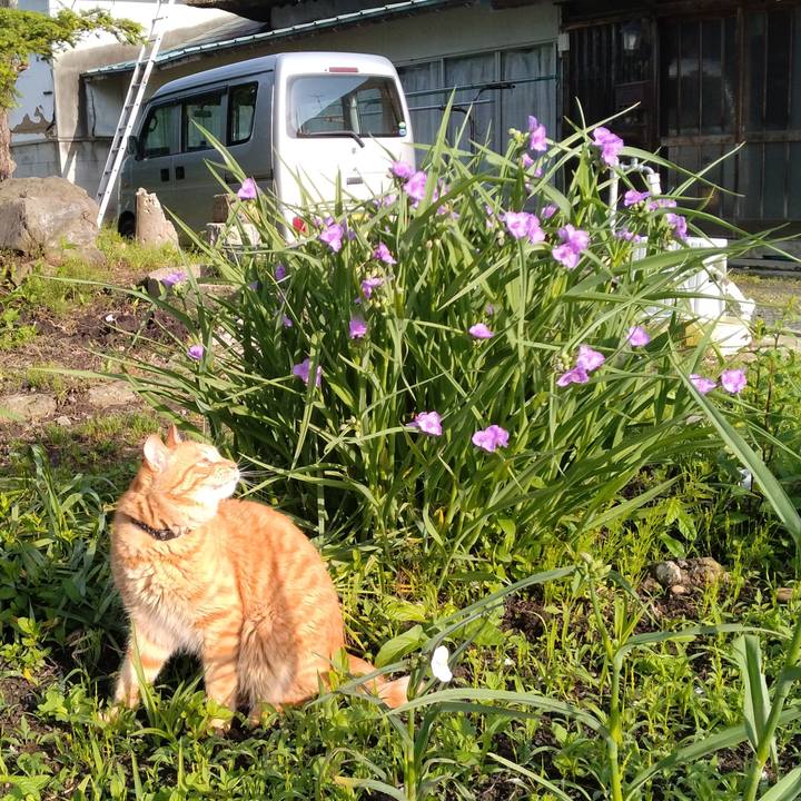 078429fe 36cf 480c 9f32 3d50d0318eb8 1685745429501