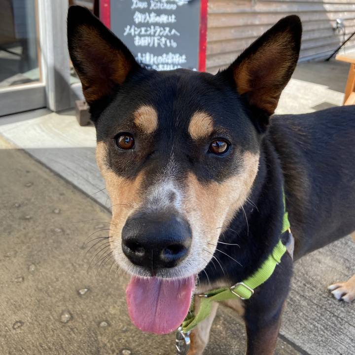 07843deb 7b04 46aa 8dfe 6e81c6bc2163 1630931164926