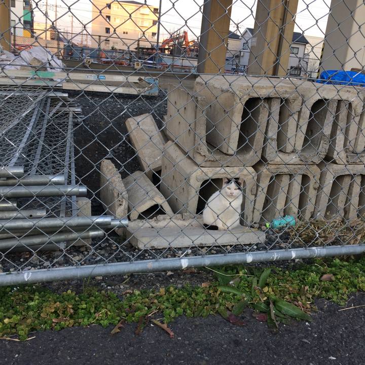 07846bd2 c4ff 4690 a2d3 2a94d32c44af 1513415659807