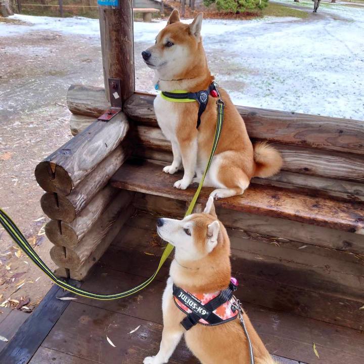 07847baa 73c9 47b2 8b50 7032886661f0 1638068575618